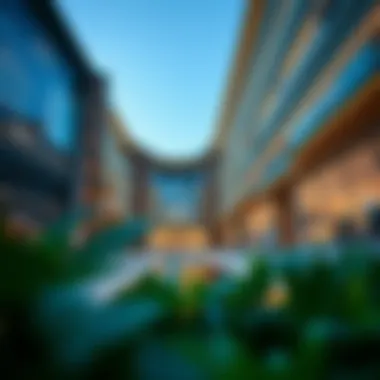 A Comprehensive Analysis of 1847 Galleria Mall Summary