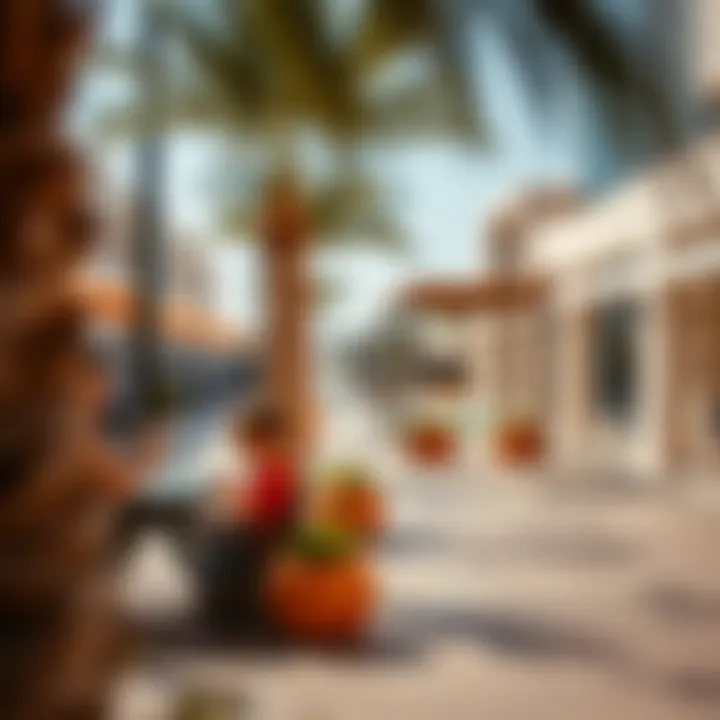 Vibrant community spaces in Almaya Silicon Oasis highlighting outdoor activities