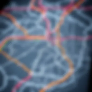 Map of the Dubai Metro network highlighting different lines