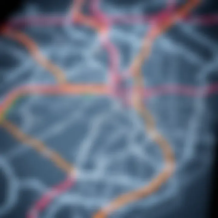 Map of the Dubai Metro network highlighting different lines