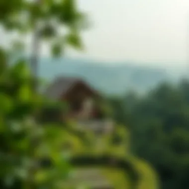 Tranquil Nature Retreat Lush green landscape of a serene getaway