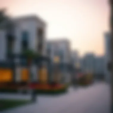 Community Amenities at Al Habtoor Dip Community amenities available at Al Habtoor Dip, including parks and recreational areas