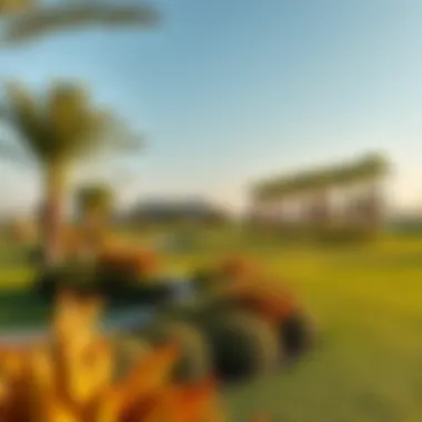 Sustainable landscaping and greenery at a Dubai golf course