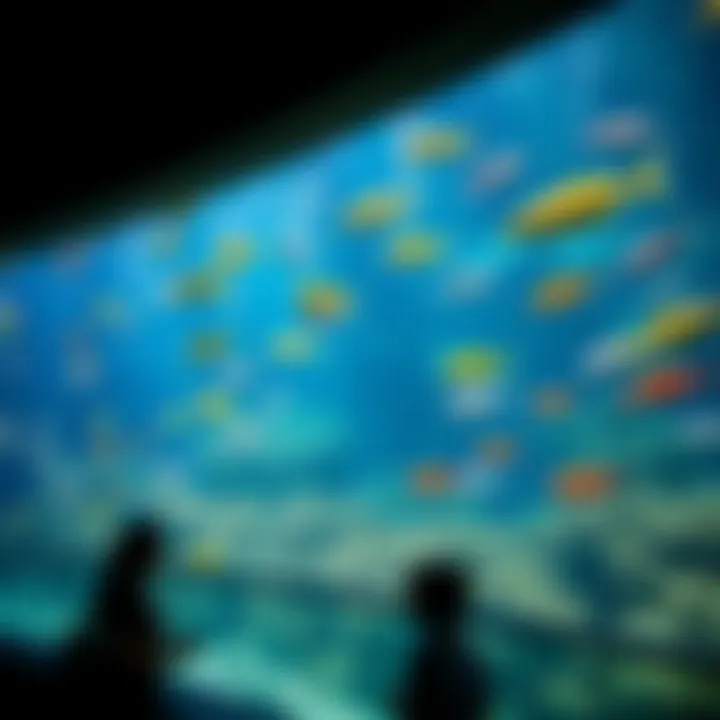 Vibrant marine life at the aquarium in Atlantis Dubai