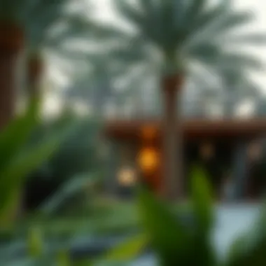 Cultural Aspects of Ixora Cultural significance of Ixora in Dubai's gardens
