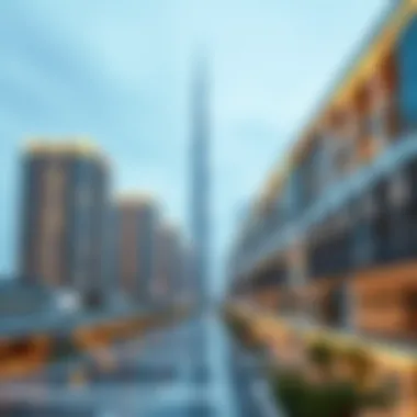 Overview of RERA License in Dubai RERA License Overview