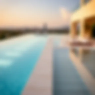 Expert discussing the financial aspects of installing infinity pools