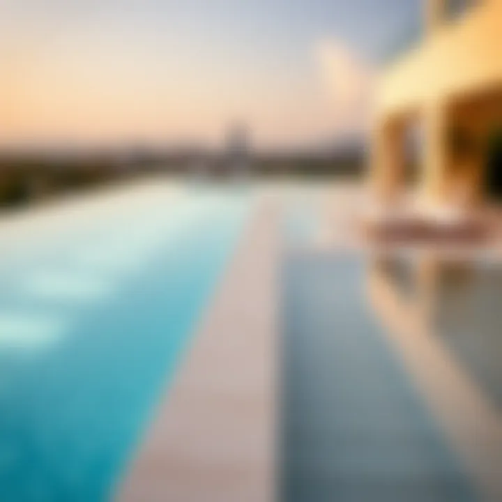 Expert discussing the financial aspects of installing infinity pools