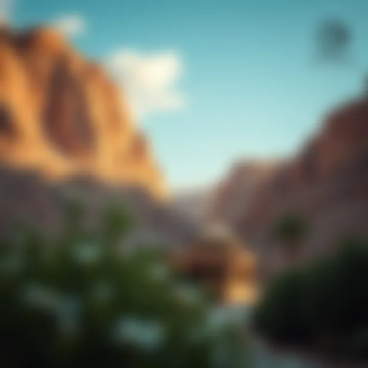 Investment opportunities in Wadi Al Shawka real estate market