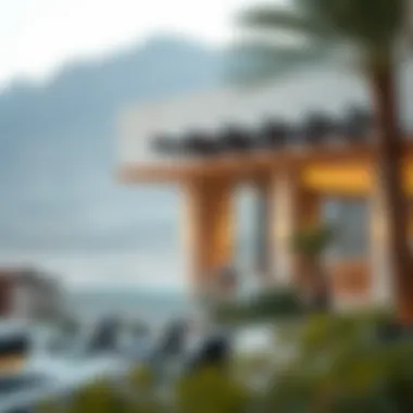 Modern real estate developments in Wadi Al Shawka